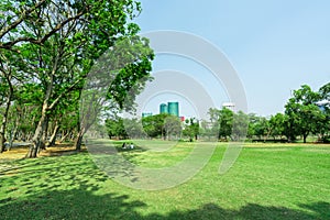 City park under blue sky with building background