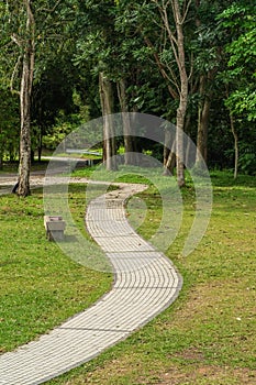 A city park with walking path and green zone trees on a sunny day