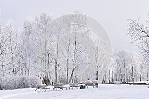 City park during winter. A place of solitude and meditation