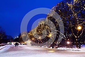 City park on winter season, festive christmas garlands lights on trees, walking people, beautiful romantic snowy night street