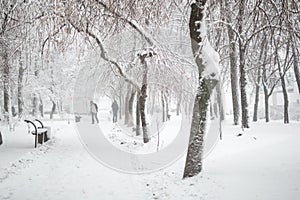 City park in winter. Walkway and benches covered with snow. Town recreation area after snowfall. Winter weather forecast. Heavy