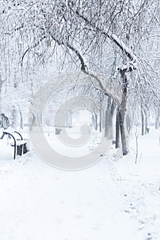 City park in winter. Walkway and benches covered with snow. Town recreation area after snowfall. Winter weather forecast. Heavy