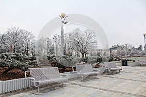 City park in winter - white benches and frozen trees and bushes