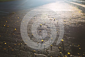 City pavement in Funchal