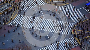 City Pedestrian Traffic Shibuya Tokyo