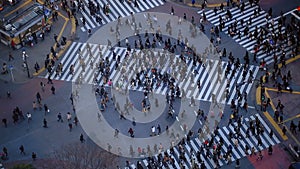 City Pedestrian Traffic Shibuya Tokyo