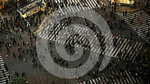 City Pedestrian Traffic Shibuya Tokyo