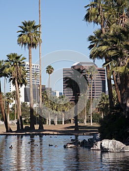 City of Phoenix Downtown Buildings photo