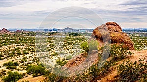 The city of Phoenix in the valley of the Sun seen from the Red Sandstone Buttes in Papago Park