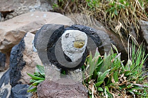 The city of Puno-Peru -The Andean condor  570