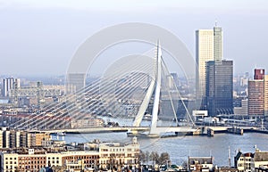 The city Rotterdam in Netherlands