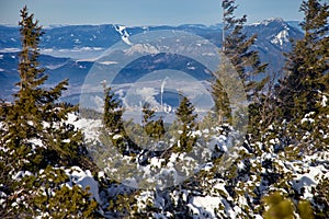 City of Ruzomberok under mountains in the valley, Slovakia