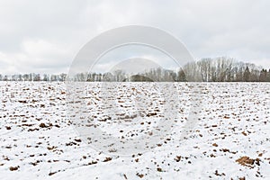 City Sigulda, Latvia. Plowed field snow-covered. Aforest in the distance. Travel photo photo