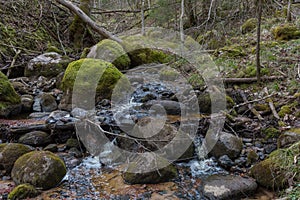 City Sigulda, Latvia. River. with rocks and water. Travel photo