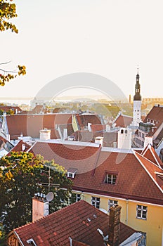 City skyline of the Estonian capital Tallinn with dominant St. Olaf`s Church and Church of the Holy Spirit. Historical old town i