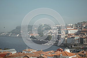 a city skyline with lots of buildings and trees along the river