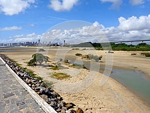 City skyline and mangrove