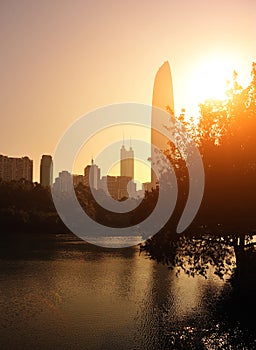 City skyline in shenzhen city