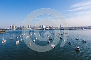 City Skyline and Waterfront with Sailing Boat in San Diego