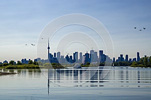 Toronto cityscape with skyscraper, calm lake water. urban skyline background