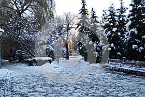 City square on a gloomy winter day. The trees are covered with snow.