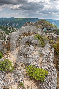 The city of stones, within Grands Causses Regional Natural Park, listed natural site with Dourbie Gorges at bottom