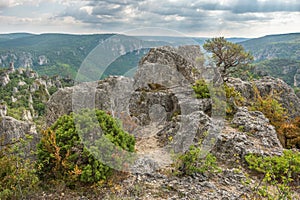 The city of stones, within Grands Causses Regional Natural Park, listed natural site with Dourbie Gorges at bottom