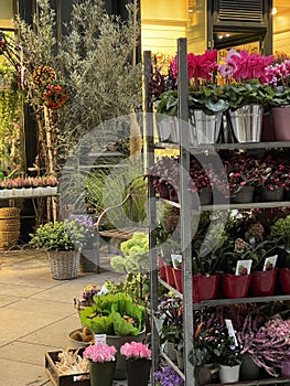 City street flower shop retail display