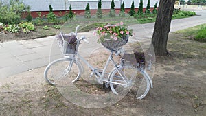 On a city street near the tile sidewalk there is a flowerbed in the shape of a bicycle painted white. On it stand plastic boxes an