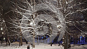 city streets and parks on winter nights. Frost and fog covered all the trees with frost