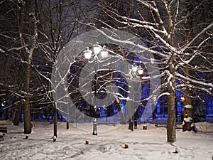 city streets and parks on winter nights. Frost and fog covered all the trees with frost