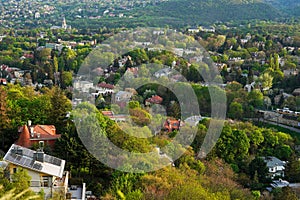 City in Summer with sunset light effect backgrounds, city in green mountains