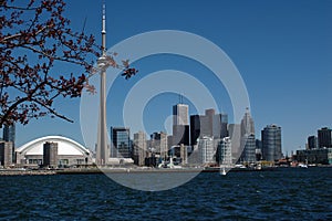 city of toronto amazing skyline