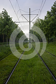 City tram rail track along the forest after a warm and quick rain photo