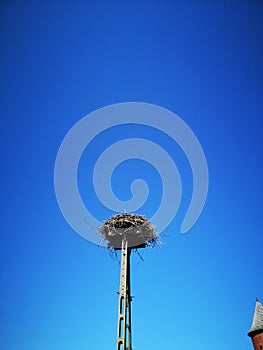 In the city of Tykocin in Poland in summer