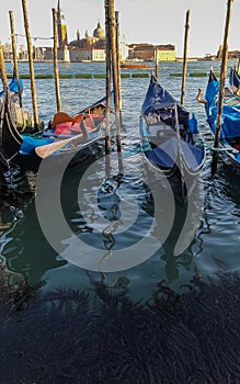 City Venice gondola canals