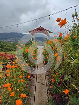 City view from mountain feet with flowery road