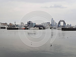 City view from the other side of boulvar