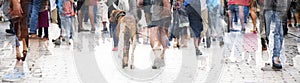 City walk, double exposure of a large crowd of people and a dog, abstract panorama bannerfor website header