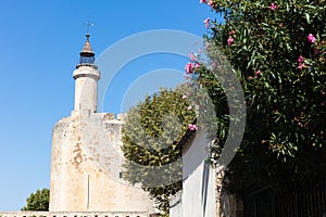 City wall of Aigues Mortes, land of Camargue and Provence, medieval town and history, Le Gard, France