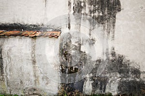 City wall with mold on plaster