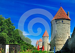 City Wall of Tallinn, Estonia photo