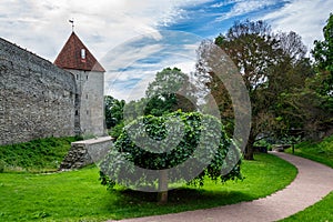 City wall Towers, in the foreground is a tree photo