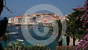 Dubrovnik city walls, Croatia photo