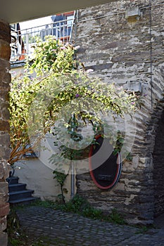 City walls gate with an empty wine cask sign and plant growing up the walls