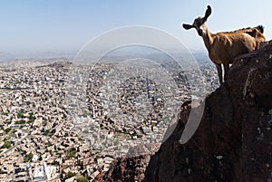 City in Yemen