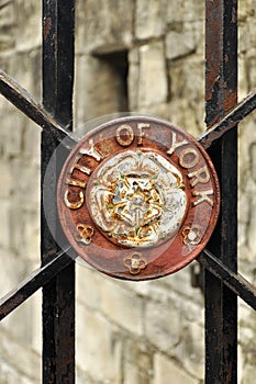 City of York