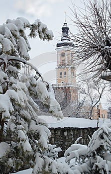 City â€‹â€‹bell tower, snowy fir trees, winter, tracks in the snow