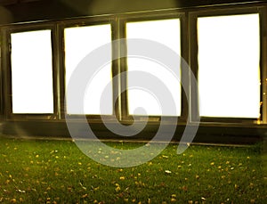 Citylight in the downtown. Night view.