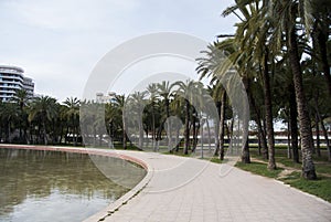Citypark with palmtrees in the old channel of Turia river in Valencia, Spain. Parc Turia in Valencia photo